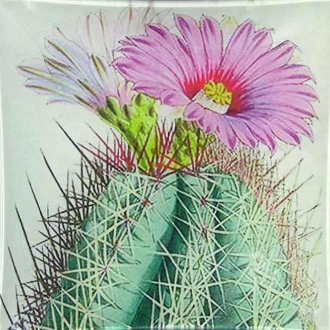 6″ Plate – Cactus