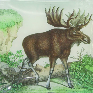 6″ Plate – Moose