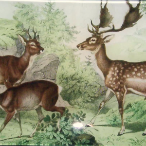 6″ x 10″ Platter – Deer Trio