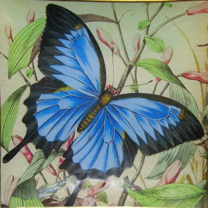 8″ Plate – Blue Butterfly