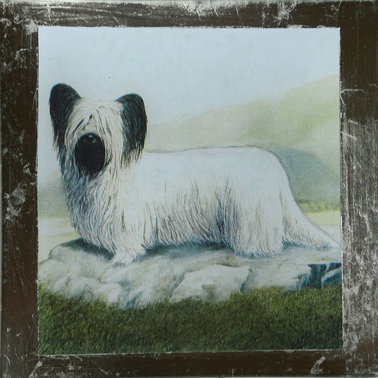 8″ Plate – Skye Terrier with Silver Leaf Border